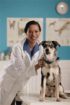 Veterinary Medical