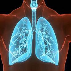 Medical Oxygen Generating Systems