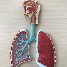 Medical Sector Spare Parts