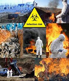 Medical Waste
